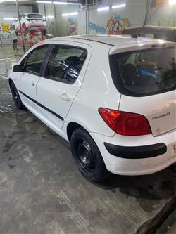 بیجۆ 307